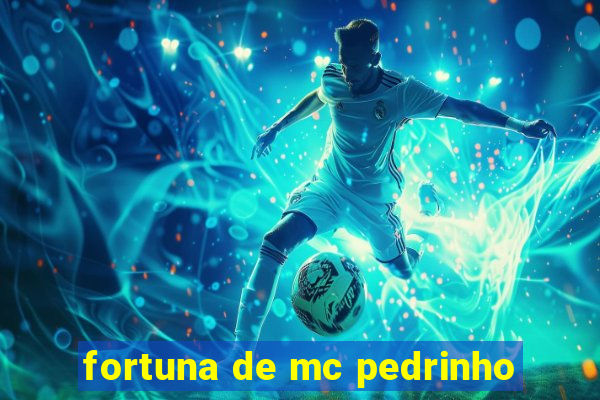 fortuna de mc pedrinho