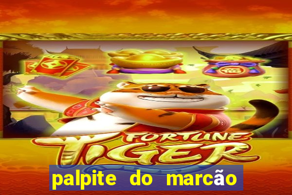 palpite do marcão jogo do bicho