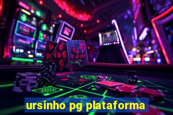 ursinho pg plataforma