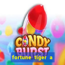 fortune tiger a partir de 1 real