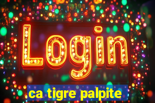 ca tigre palpite