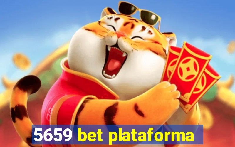 5659 bet plataforma