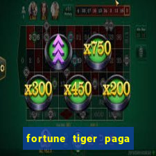 fortune tiger paga de madrugada