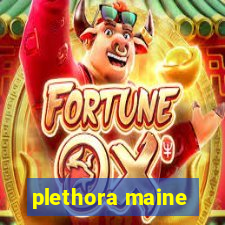 plethora maine