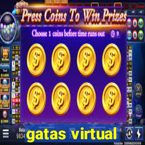 gatas virtual