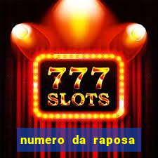 numero da raposa jogo do bicho