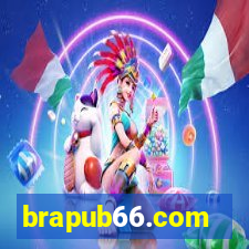 brapub66.com