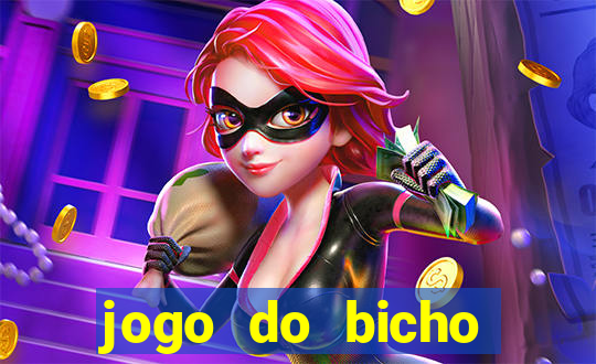 jogo do bicho tipos de apostas