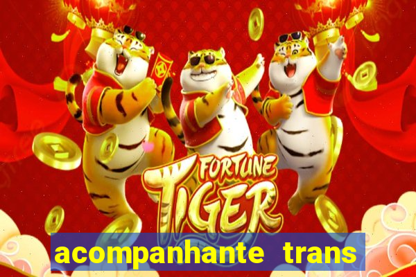 acompanhante trans porto alegre