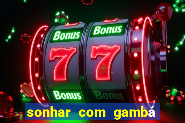 sonhar com gambá jogo do bicho