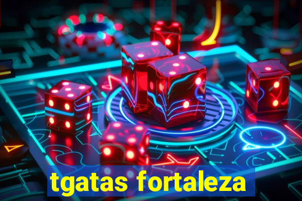 tgatas fortaleza