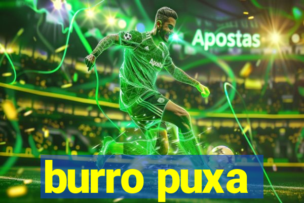 burro puxa