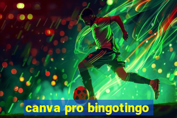 canva pro bingotingo