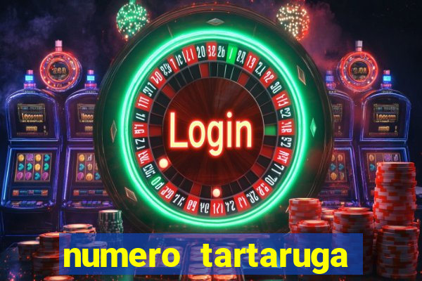 numero tartaruga jogo do bicho