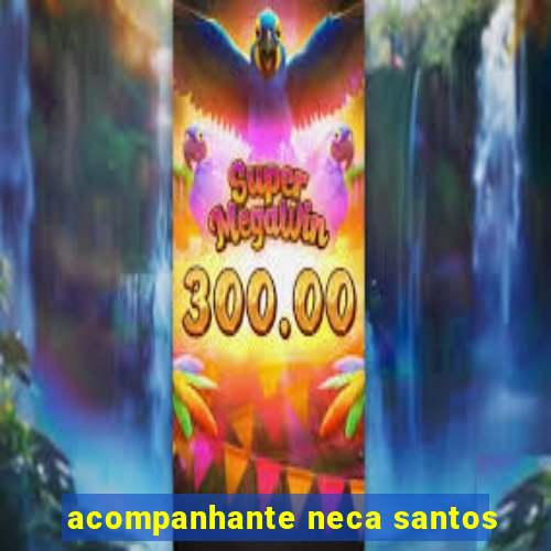 acompanhante neca santos