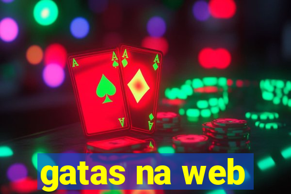 gatas na web