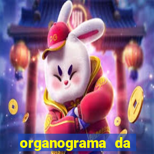 organograma da cacau show