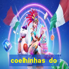 coelhinhas do brasil acompanhantes