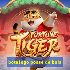 botafogo posse de bola