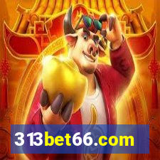 313bet66.com