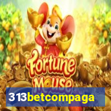 313betcompaga