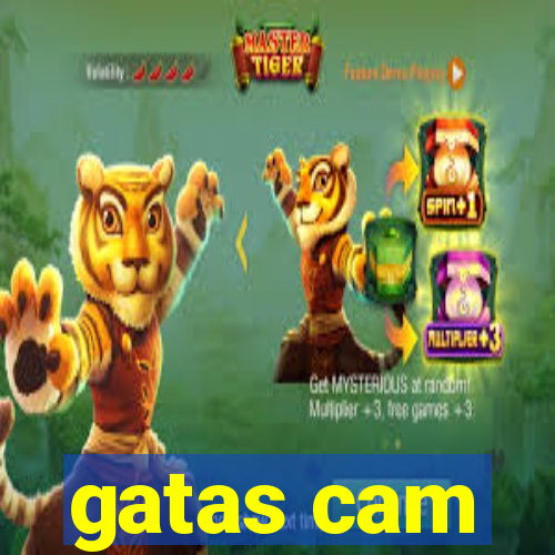 gatas cam