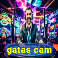 gatas cam