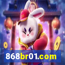 868br01.com