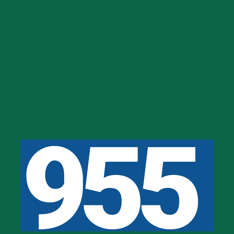 955-bet