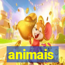 animais-pg.com