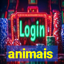 animais-pg.com