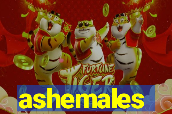 ashemales