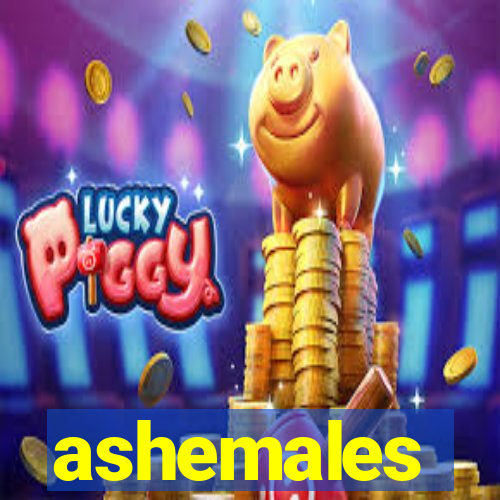 ashemales