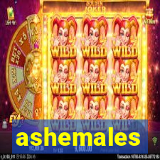 ashemales