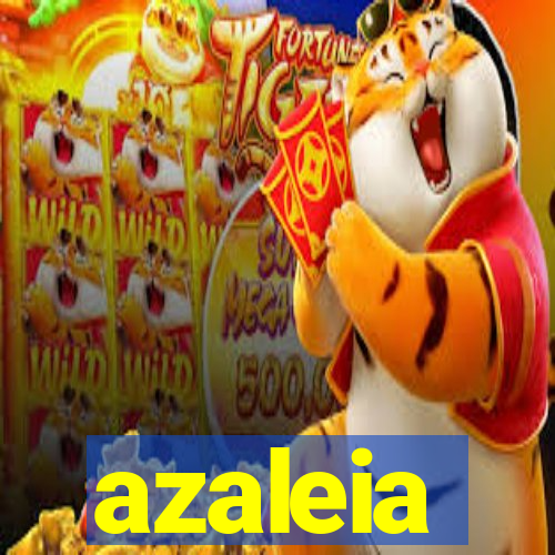 azaleia-br.com