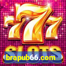 brapub66.com