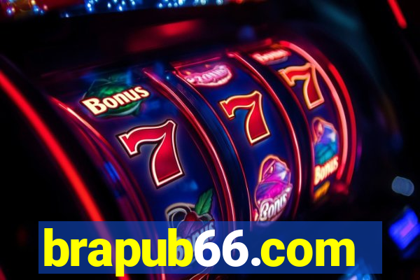 brapub66.com