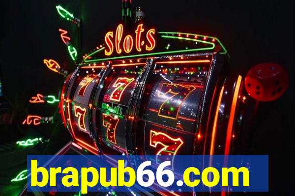 brapub66.com