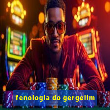 fenologia do gergelim