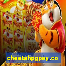 cheetahpgpay.com