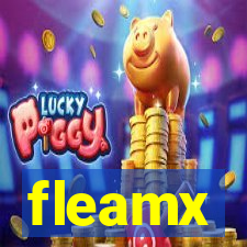 fleamx