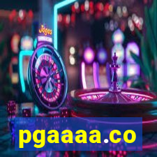 pgaaaa.co