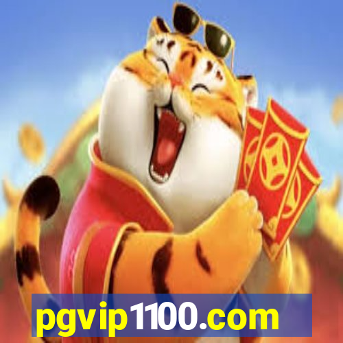 pgvip1100.com