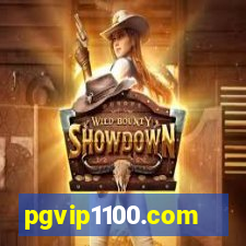 pgvip1100.com