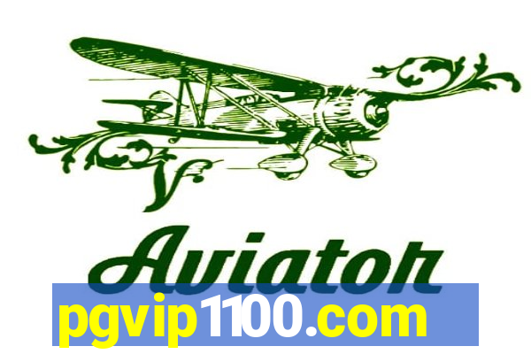 pgvip1100.com