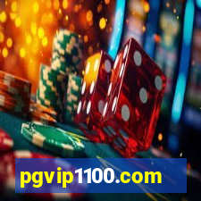 pgvip1100.com