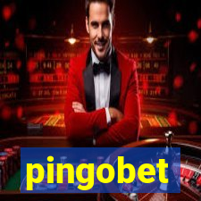 pingobet