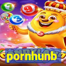 pornhunb