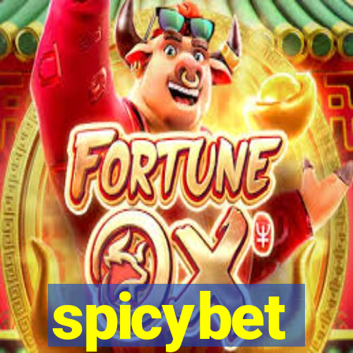 spicybet-2.com