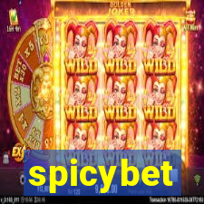 spicybet-3.com